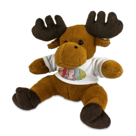 Bamse med billede